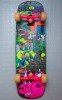 Skateboard World industries - Une sélection de 5 ventes exceptionnelles