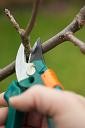 Outils de jardin : taille-haies, coupe-branches, secateurs