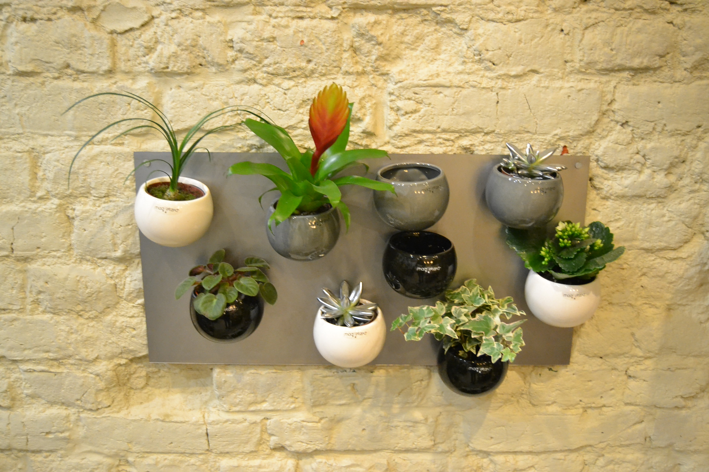 Tout Un Choix De Pots De Fleurs A Bon Prix Meilleur Vendeur