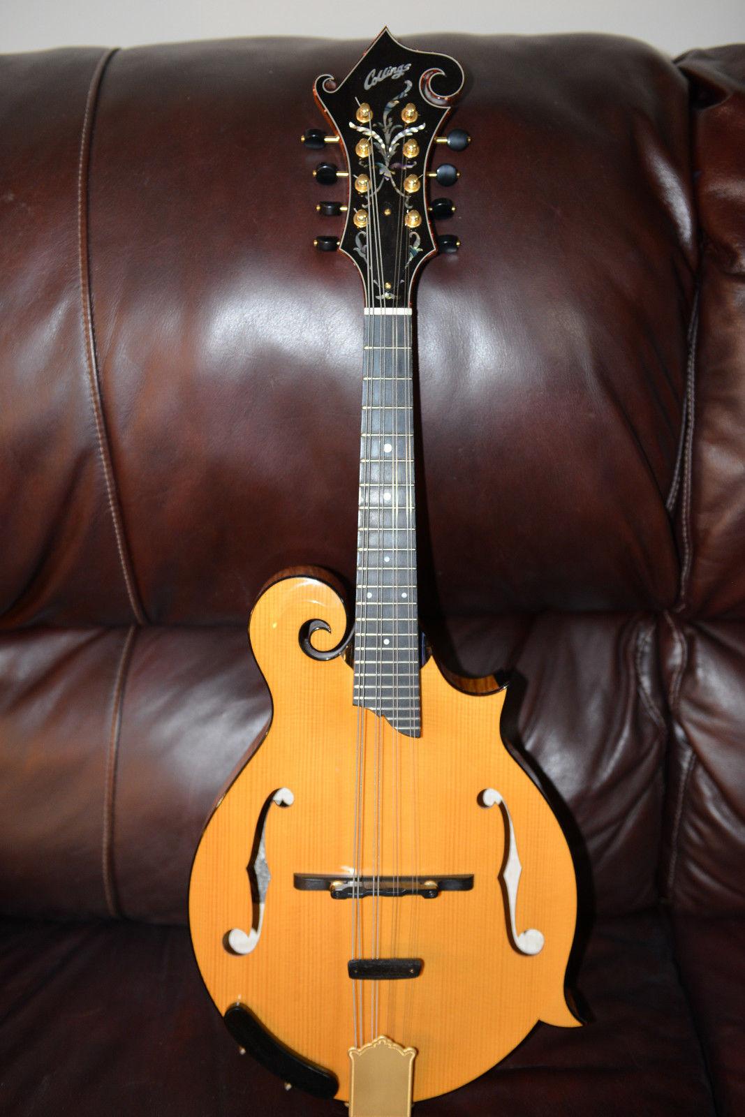 Une sélection de 5 mandolines de collection les plus chères sur eBay