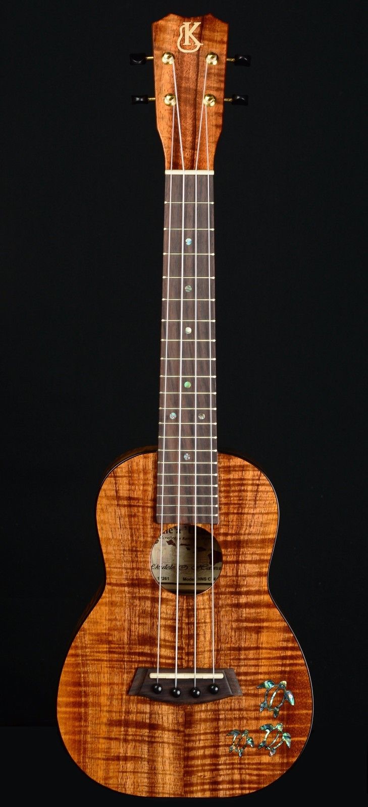 Top 5 des ukulélés de collection les plus chers récemment vendus sur eBay ! 