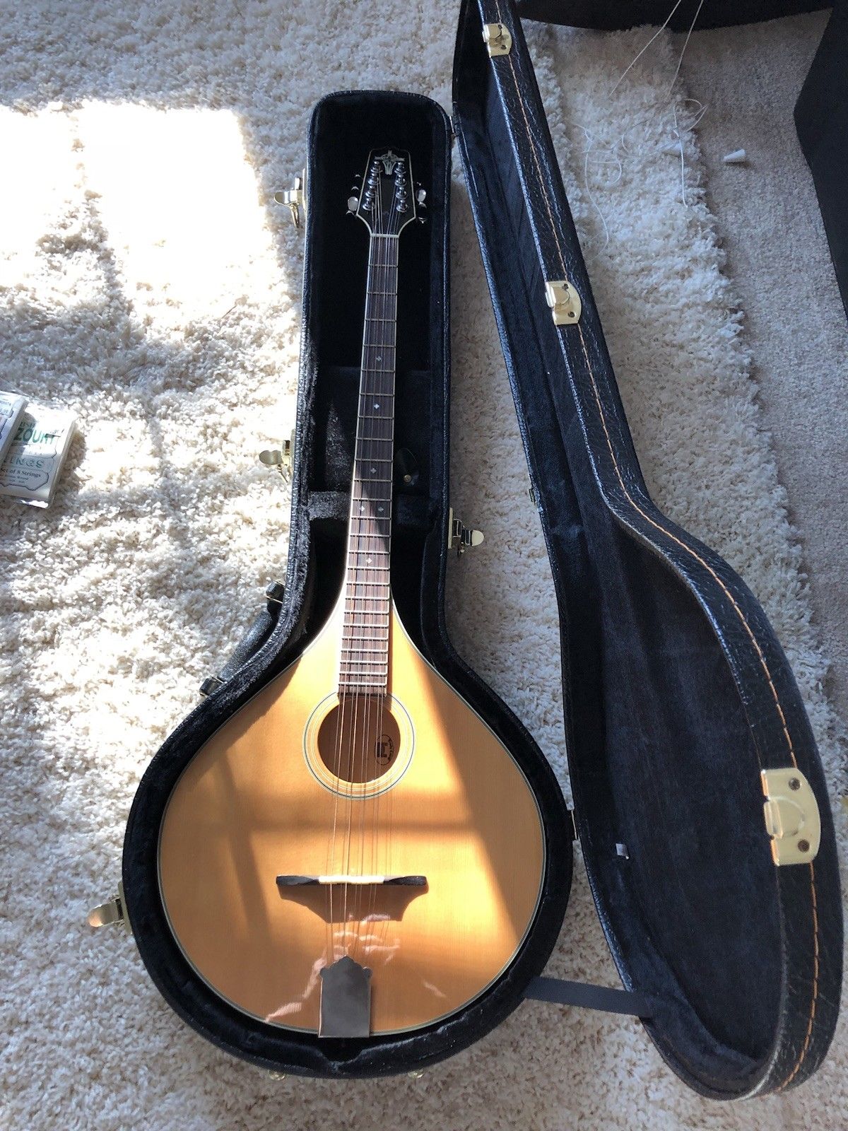 Bouzouki une sélection de 5 modèles les plus chers récemment vendus sur eBay