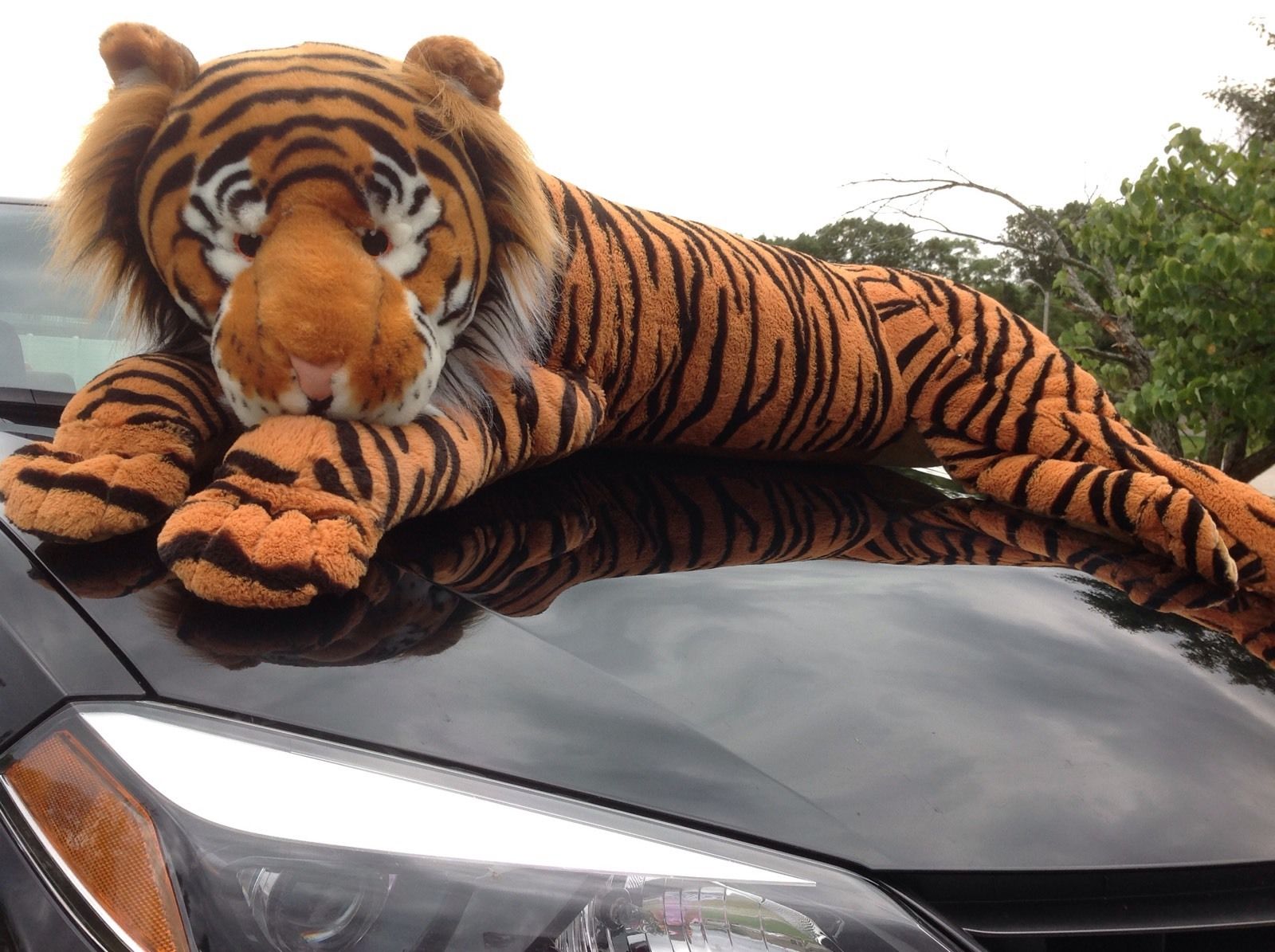 Les peluches de tigres les plus chères sur eBay ! 