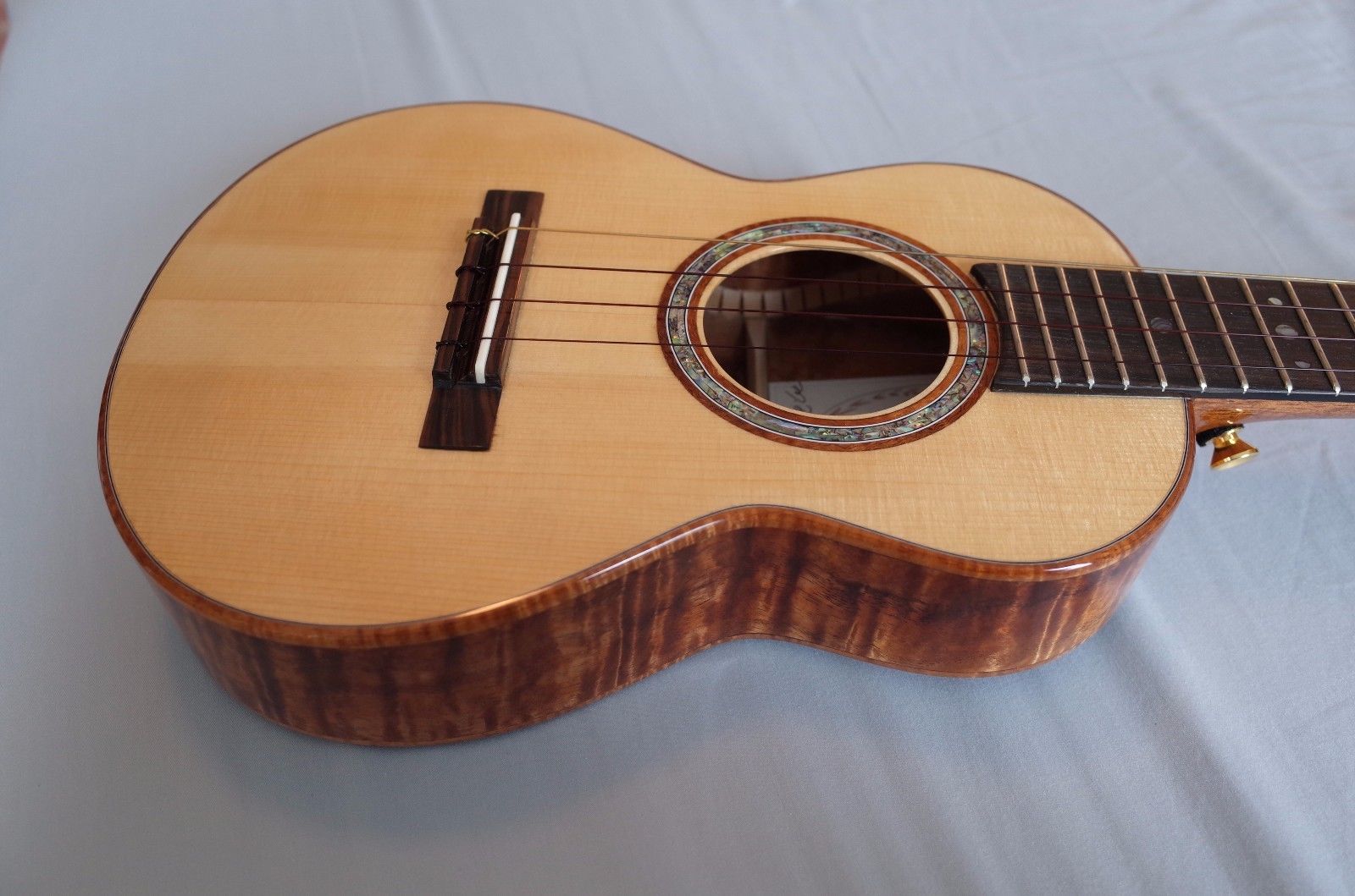 Top 5 des ukulélés de collection les plus chers récemment vendus sur eBay ! 