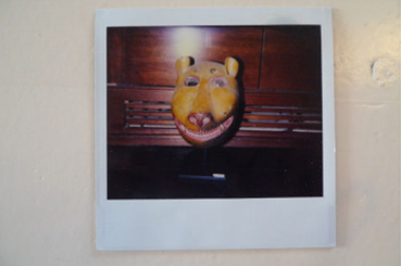 Polaroid - Une sélection de 5 ventes exceptionnelles