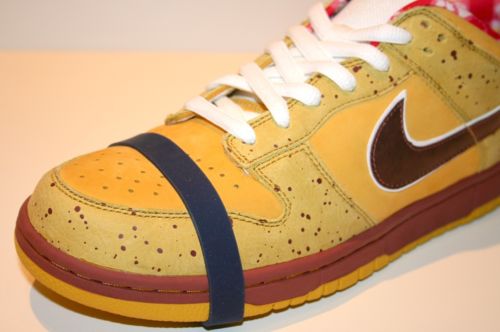 Sélection de 5 chaussures Nike SB collector