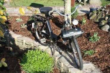 Solex - Une sélection de 5 ventes exceptionnelles